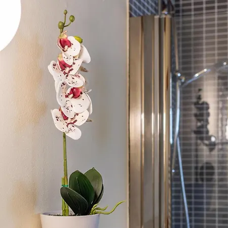 Romantic Apartment Florence