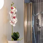 Romantic 아파트 피렌체
